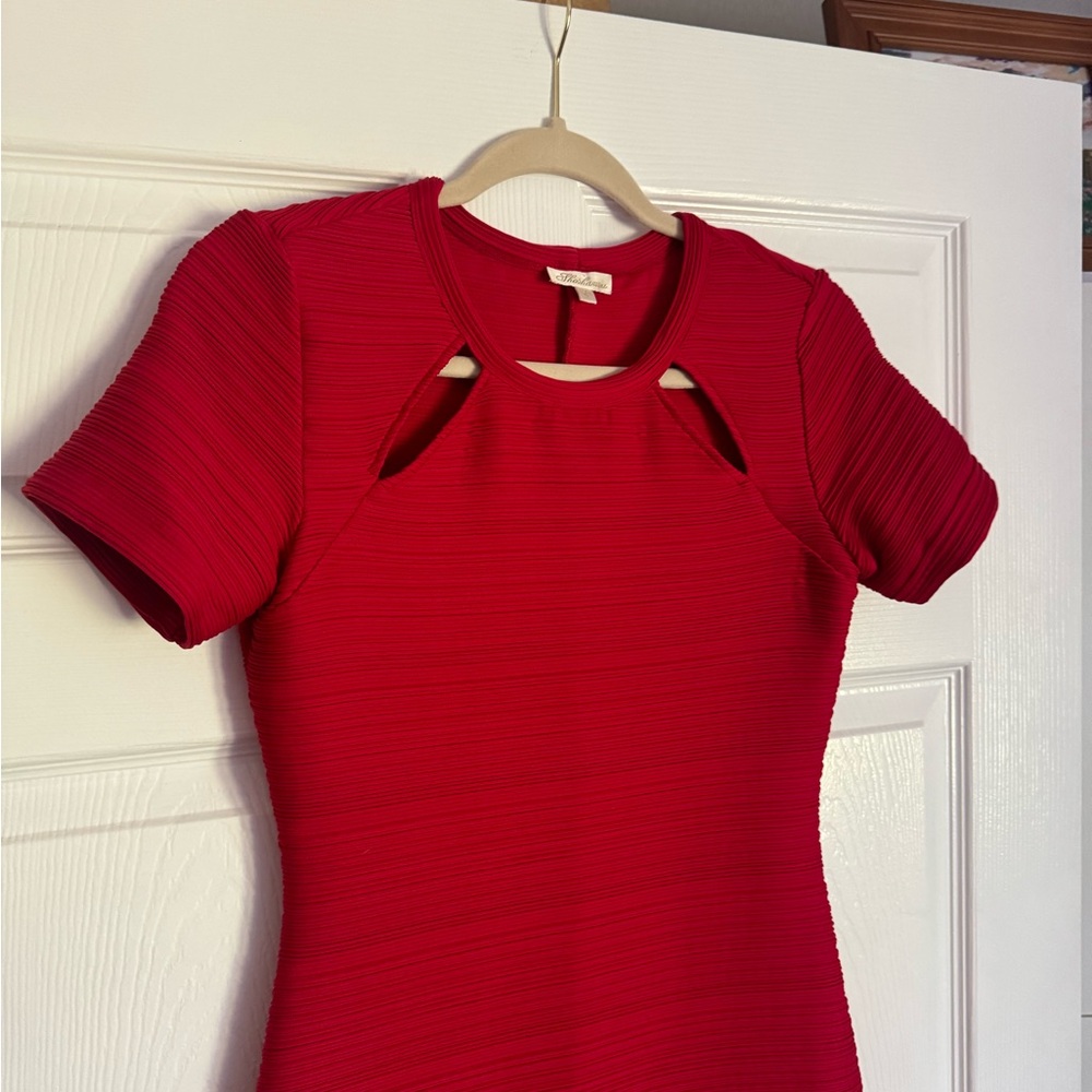 Red Dress - Picture 4 of 4
